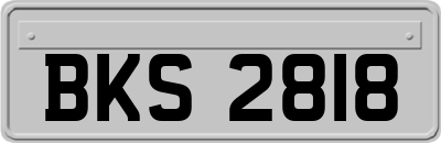 BKS2818