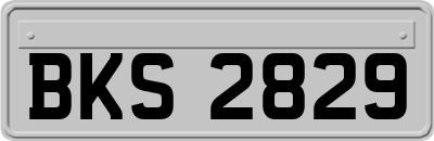 BKS2829