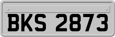 BKS2873
