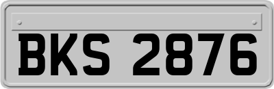 BKS2876