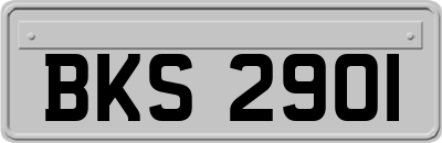 BKS2901