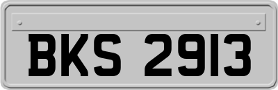BKS2913
