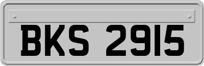 BKS2915