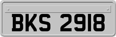 BKS2918