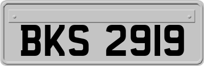 BKS2919