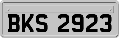 BKS2923