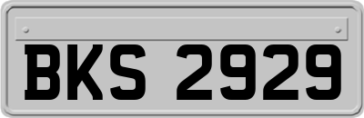 BKS2929