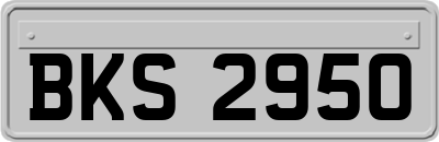 BKS2950