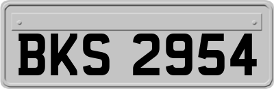 BKS2954