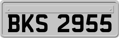 BKS2955