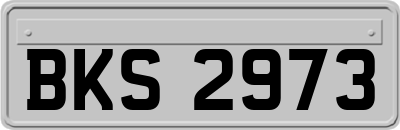 BKS2973