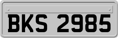 BKS2985