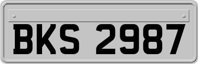 BKS2987
