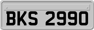 BKS2990