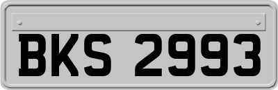 BKS2993