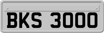 BKS3000