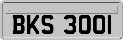 BKS3001