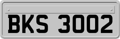 BKS3002