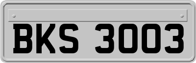 BKS3003