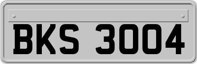 BKS3004