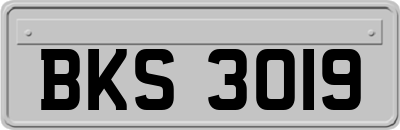BKS3019