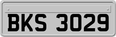 BKS3029