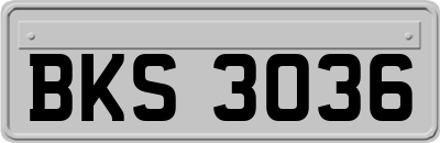 BKS3036