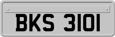 BKS3101