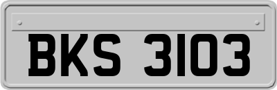 BKS3103