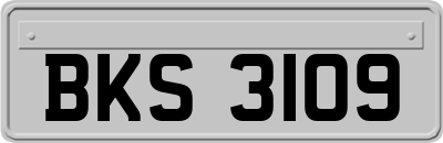 BKS3109