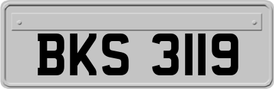 BKS3119