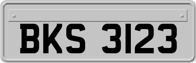 BKS3123