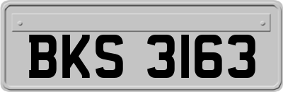 BKS3163