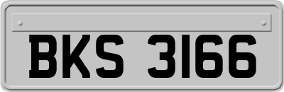 BKS3166