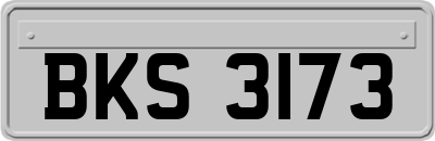 BKS3173