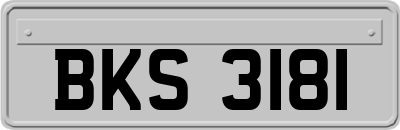 BKS3181