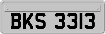 BKS3313