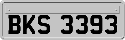 BKS3393