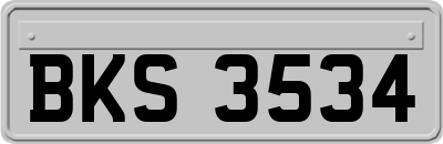 BKS3534