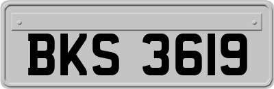 BKS3619