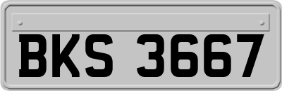 BKS3667