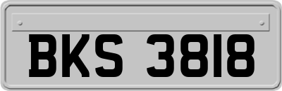 BKS3818