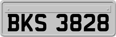 BKS3828