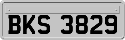 BKS3829