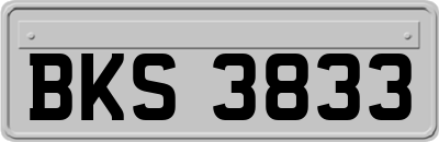 BKS3833