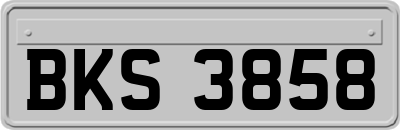 BKS3858
