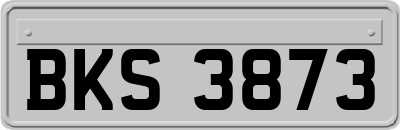 BKS3873
