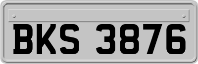 BKS3876