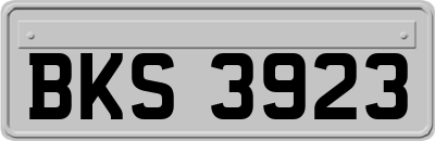 BKS3923