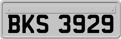 BKS3929